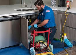 Best Garbage Disposal Repair and Installation  in Woodland Park, CO